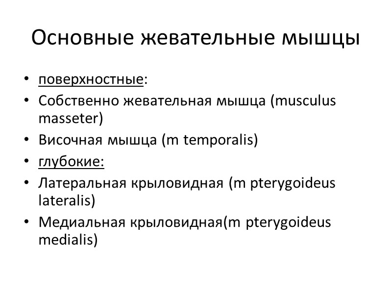 Основные жевательные мышцы поверхностные: Собственно жевательная мышца (musculus masseter) Височная мышца (m temporalis) глубокие: